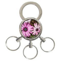 Beautiful Colourful African Daisies  3-ring Key Chains