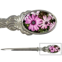 Beautiful Colourful African Daisies  Letter Openers by OZMedia