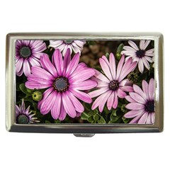 Beautiful Colourful African Daisies  Cigarette Money Cases by OZMedia