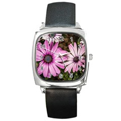 Beautiful Colourful African Daisies  Square Metal Watches by OZMedia