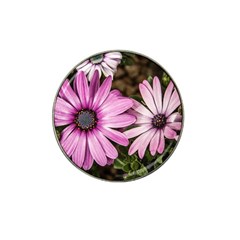 Beautiful Colourful African Daisies  Hat Clip Ball Marker