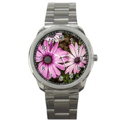 Beautiful Colourful African Daisies  Sport Metal Watches