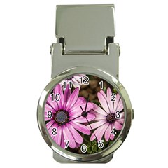 Beautiful Colourful African Daisies  Money Clip Watches