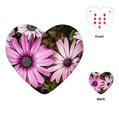 Beautiful Colourful African Daisies  Playing Cards (heart) 