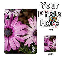 Beautiful Colourful African Daisies  Playing Cards 54 Designs 