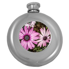 Beautiful Colourful African Daisies  Round Hip Flask (5 Oz)