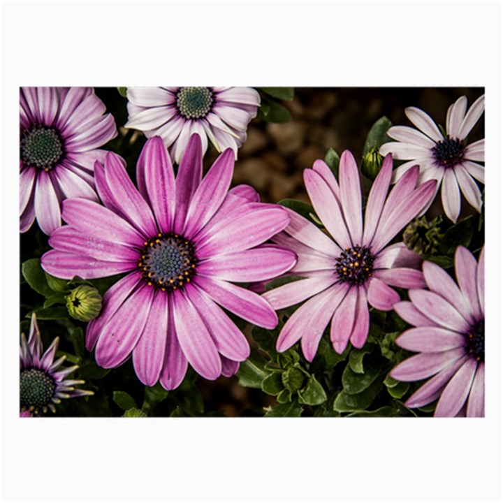 Beautiful Colourful African Daisies  Large Glasses Cloth (2-Side)