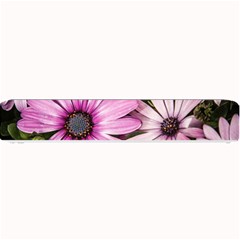 Beautiful Colourful African Daisies  Small Bar Mats by OZMedia