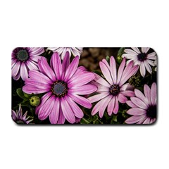 Beautiful Colourful African Daisies  Medium Bar Mats by OZMedia