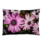 Beautiful Colourful African Daisies  Pillow Cases 26.62 x18.9  Pillow Case