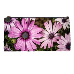 Beautiful Colourful African Daisies  Pencil Cases by OZMedia