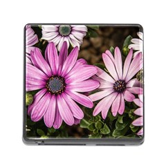 Beautiful Colourful African Daisies  Memory Card Reader (square)