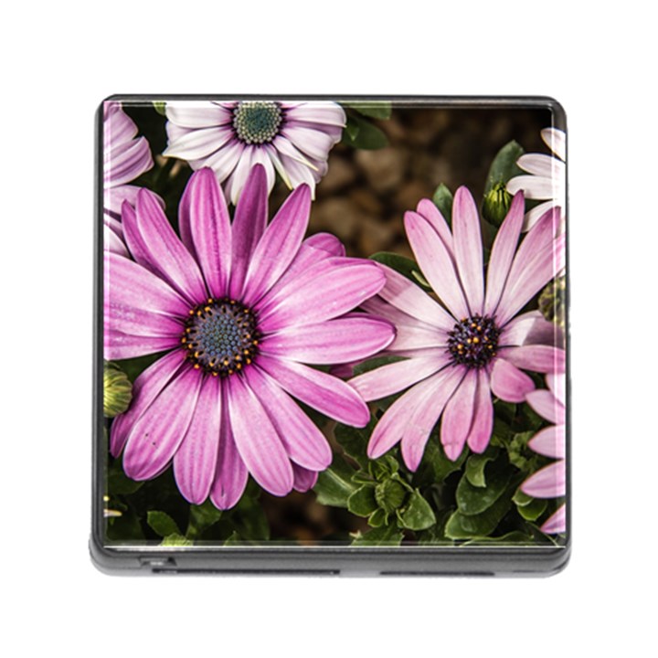 Beautiful Colourful African Daisies  Memory Card Reader (Square)