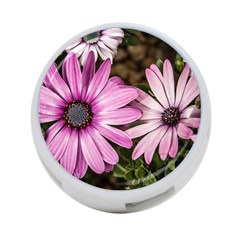 Beautiful Colourful African Daisies  4-port Usb Hub (one Side)