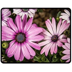 Beautiful Colourful African Daisies  Fleece Blanket (medium) 