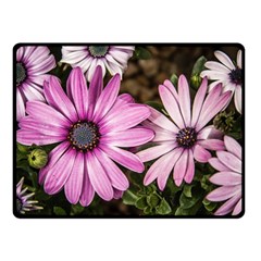 Beautiful Colourful African Daisies  Fleece Blanket (small)