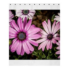 Beautiful Colourful African Daisies  Shower Curtain 60  X 72  (medium) 