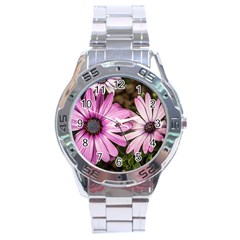 Beautiful Colourful African Daisies  Stainless Steel Men s Watch