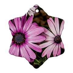 Beautiful Colourful African Daisies  Ornament (snowflake) 