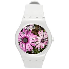 Beautiful Colourful African Daisies  Round Plastic Sport Watch (m) by OZMedia