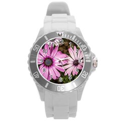 Beautiful Colourful African Daisies  Round Plastic Sport Watch (l)