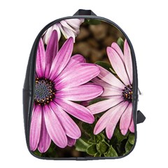 Beautiful Colourful African Daisies  School Bags (xl)  by OZMedia