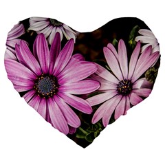 Beautiful Colourful African Daisies  Large 19  Premium Heart Shape Cushions