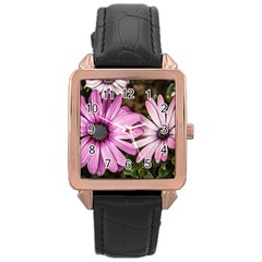 Beautiful Colourful African Daisies  Rose Gold Watches