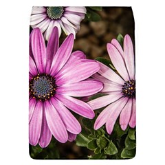 Beautiful Colourful African Daisies  Flap Covers (l) 