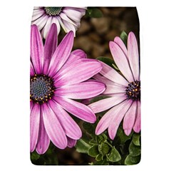 Beautiful Colourful African Daisies  Flap Covers (s) 