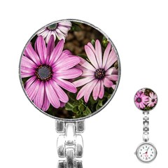 Beautiful Colourful African Daisies  Stainless Steel Nurses Watches