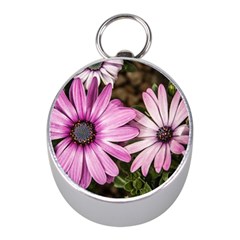 Beautiful Colourful African Daisies  Mini Silver Compasses by OZMedia