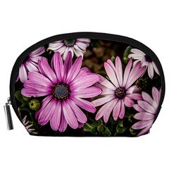 Beautiful Colourful African Daisies  Accessory Pouches (large) 