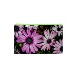 Beautiful Colourful African Daisies  Cosmetic Bag (XS) Front