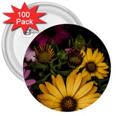 Beautiful Colourful African Daisies  3  Buttons (100 Pack) 