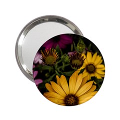 Beautiful Colourful African Daisies  2 25  Handbag Mirrors by OZMedia