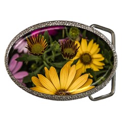 Beautiful Colourful African Daisies  Belt Buckles by OZMedia