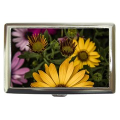 Beautiful Colourful African Daisies  Cigarette Money Cases by OZMedia