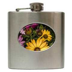 Beautiful Colourful African Daisies  Hip Flask (6 Oz) by OZMedia