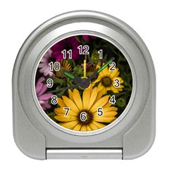 Beautiful Colourful African Daisies  Travel Alarm Clocks