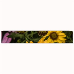 Beautiful Colourful African Daisies  Small Bar Mats by OZMedia