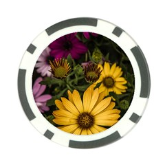 Beautiful Colourful African Daisies  Poker Chip Card Guards by OZMedia