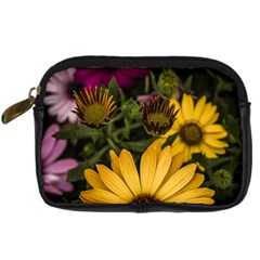 Beautiful Colourful African Daisies  Digital Camera Cases by OZMedia