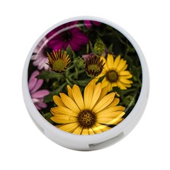 Beautiful Colourful African Daisies  4-port Usb Hub (one Side) by OZMedia