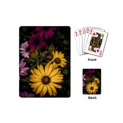 Beautiful Colourful African Daisies  Playing Cards (mini)  by OZMedia