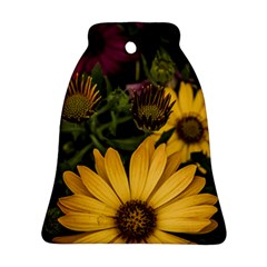 Beautiful Colourful African Daisies  Ornament (bell)  by OZMedia