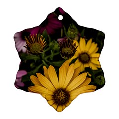 Beautiful Colourful African Daisies  Snowflake Ornament (2-side) by OZMedia