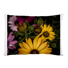 Beautiful Colourful African Daisies  Pillow Cases (two Sides) by OZMedia