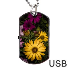 Beautiful Colourful African Daisies  Dog Tag Usb Flash (two Sides)  by OZMedia