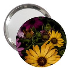 Beautiful Colourful African Daisies  3  Handbag Mirrors by OZMedia